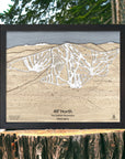Framed 3D wood ski map of 49° North Ski Resort on a wooden stump with a natural background.
