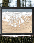 Wooden map of Arapahoe Basin Ski Resort in Colorado on a tree stump with a forest background