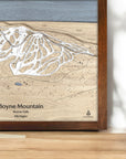 Boyne Mountain Framed Ski Map, Ski Cabin Decor