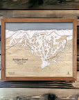 Large, engraved map of Bridger Bowl ski area in Montana. Laser engraved, three dimensional.