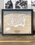 Artist Shawn Orecchio designed this 3D Map of Camelback Ski Resort in Pennsylvania.