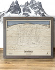 Camelback Resort 3D Wood Map designed by former pro snowboarder Shawn Orecchio