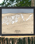 Wooden topographic map of Holimont Ski Resort trails on a wooden stump with a natural background