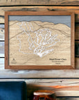 Mountain Decor: Ski Slope Art of Mad River Glen Ski Resort.