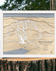 Wooden ski trail map of Mont Tremblant, Quebec, Canada, displayed on a tree stump with a forest background.