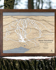 Wooden map of Mont Tremblant ski resort in Canada on a tree stump with a forest background.