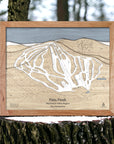 Wooden ski map of Pats Peak in a natural setting with trees.