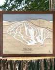 Wooden 3D layered map of Pats Peak ski trails on a wooden stump with a natural background