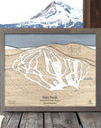 Wooden framed ski trail map of Pats Peak with mountain and lake background