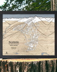 Framed map of Revelstoke Ski Resort on a wooden stump with a forest background