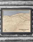 Schweitzer Mountain Ski Trail Map | Laser Engraved Ski Trail Maps