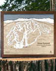 Snow Summit CA Ski Resort map, Skiing Wall Art, Wood Skiing Sign