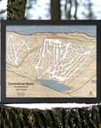 Wooden map of Snowshoe Mountain Ski Trails in West Virginia on a tree stump with a forest background
