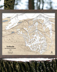 Wooden map of Solitude, Utah framed on a tree stump with a forest background