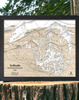 Framed Ski Map map of Solitude, Utah on a wooden stump with a natural background.