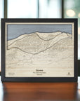Stowe Vermont Trail Map, Ski Area Trail Map, Gift for Skiers that Love Stowe
