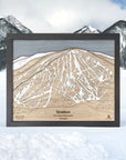 Wooden Stratton Mountain VT Ski Map used for a gift for skiers