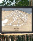 Wooden engraved map of Terry Peak Ski Resort, South Dakota, displayed on a wooden stump with a natural background.