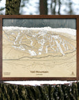 Wooden map of Vail Mountain, Colorado, framed and displayed outdoors.