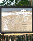 Wooden map of White Pass Ski Resort in the Cascade Mountains, Washington, displayed on a tree stump with a natural background.