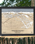 Framed wooden map of Whitewater Mountain framed on a tree stump with a natural background