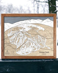 Ski House Decor - Winter Park Ski Trail Map