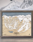 Brighton Trail Map, Ski Resort Trail Map, Layered 3D Wall Art