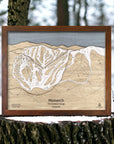 Ski Slopes Map: Large, Monarch Mountain Trail Map