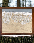 Ski House Wall Art: Park City Mountain engraved, wood ski trail map designed by artist Shawn Orecchio