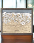 Skiing Decor: Wooden Park City Map