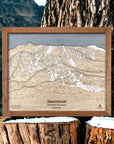 Gifts for Skiing Couple, Steamboat Ski Resort Trail Map