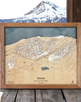 Stowe VT Ski Slopes Map, Framed Skiing Map, Ski Cabin Decor
