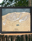 Stowe VT Ski Map, Skiing Art, Ski Wall Map