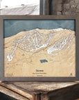 Stowe Ski Trail Map, Framed Skiing Poster, Torched Peaks Map