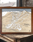 Ski House Decor, Skiing Art, Whiteface Ski Resort Map, 3D Wood Ski Map