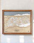 3D Wood Ski Resort Maps