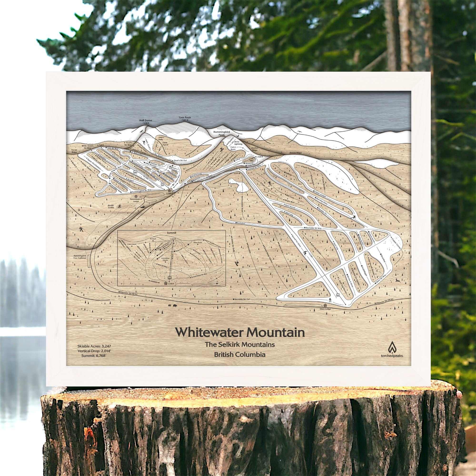 Framed wooden ski resort wall art on a stump with a forest background. 