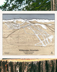 Framed wooden ski resort wall art on a stump with a forest background. 
