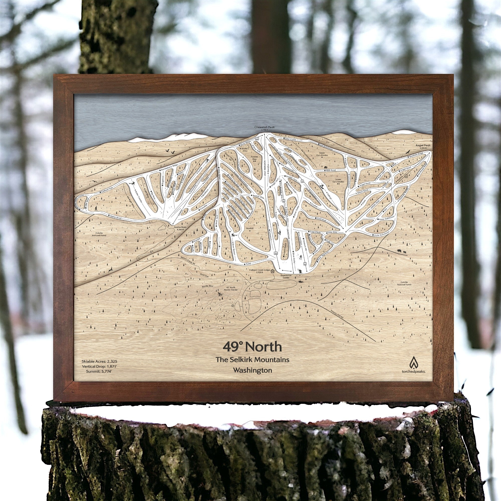 Wooden layered map of the 49° North Ski Resort in Washington on a tree stump with a forest background.