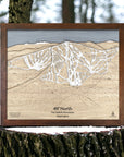 Wooden layered map of the 49° North Ski Resort in Washington on a tree stump with a forest background.