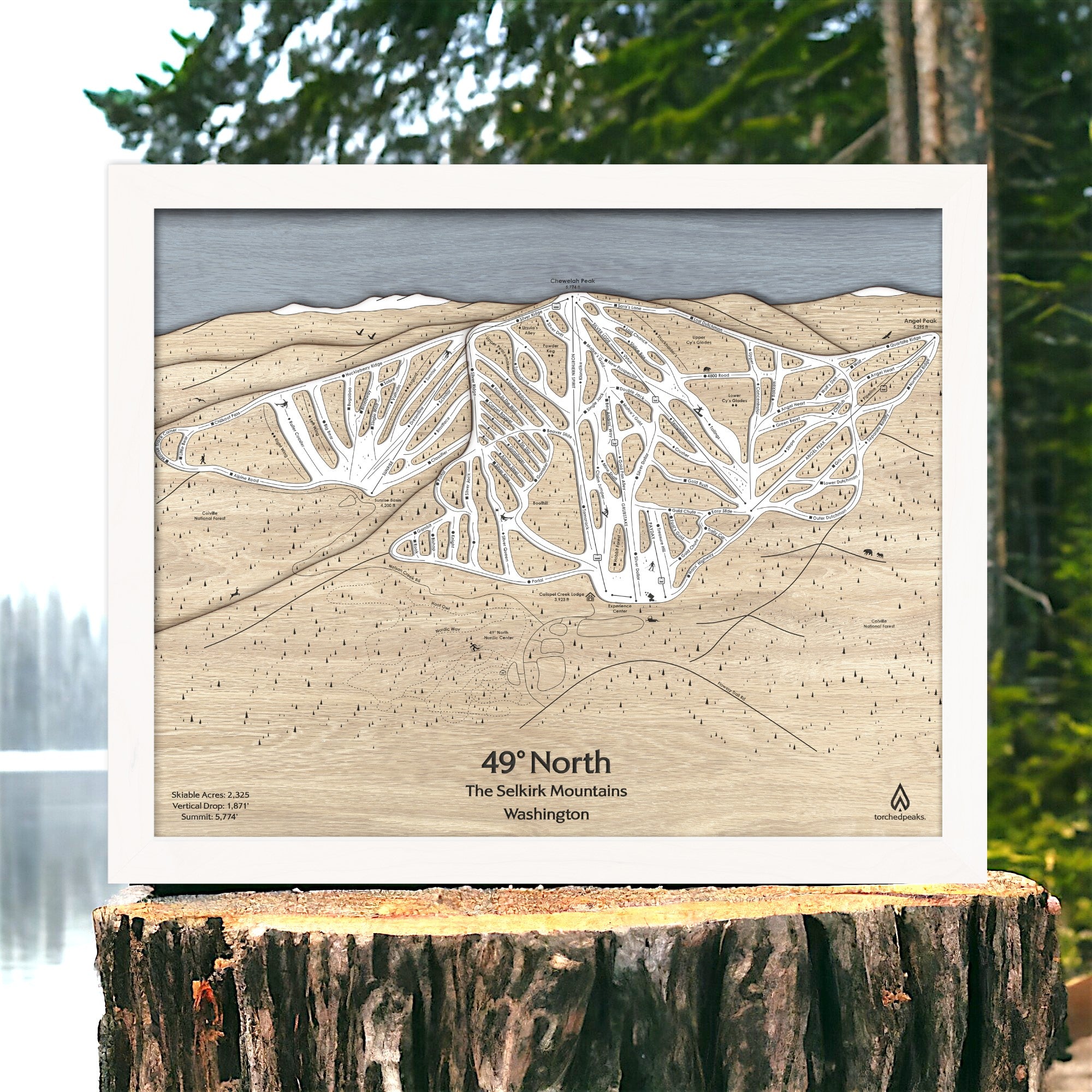 Wooden map of 49° North Ski Resort in Washington on a wooden stump with a forest background
