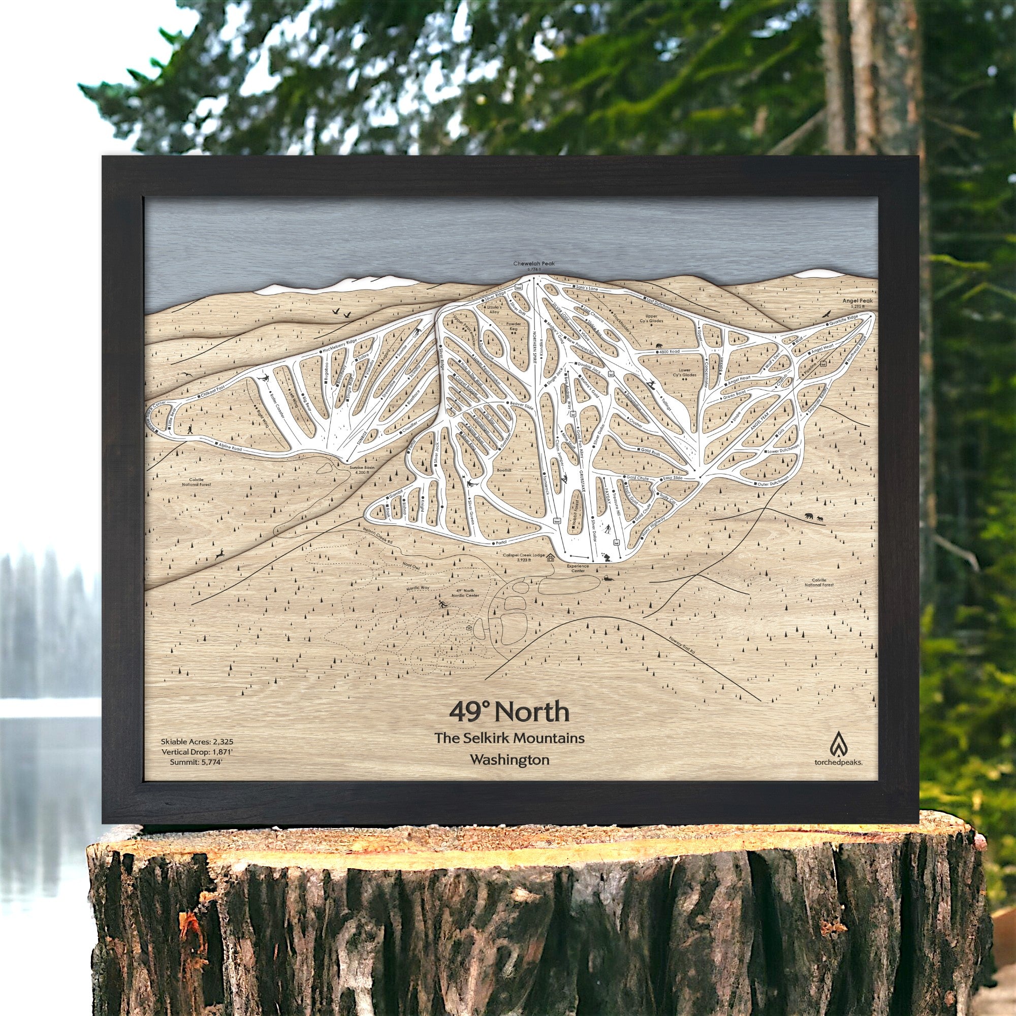 Framed 3D wood ski map of 49° North Ski Resort on a wooden stump with a natural background.