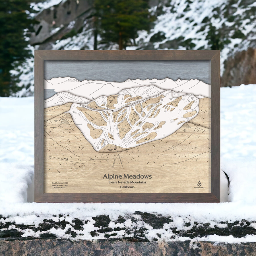 Alpine Meadows, Palisades Tahoe 3D Wood Ski Trail Map