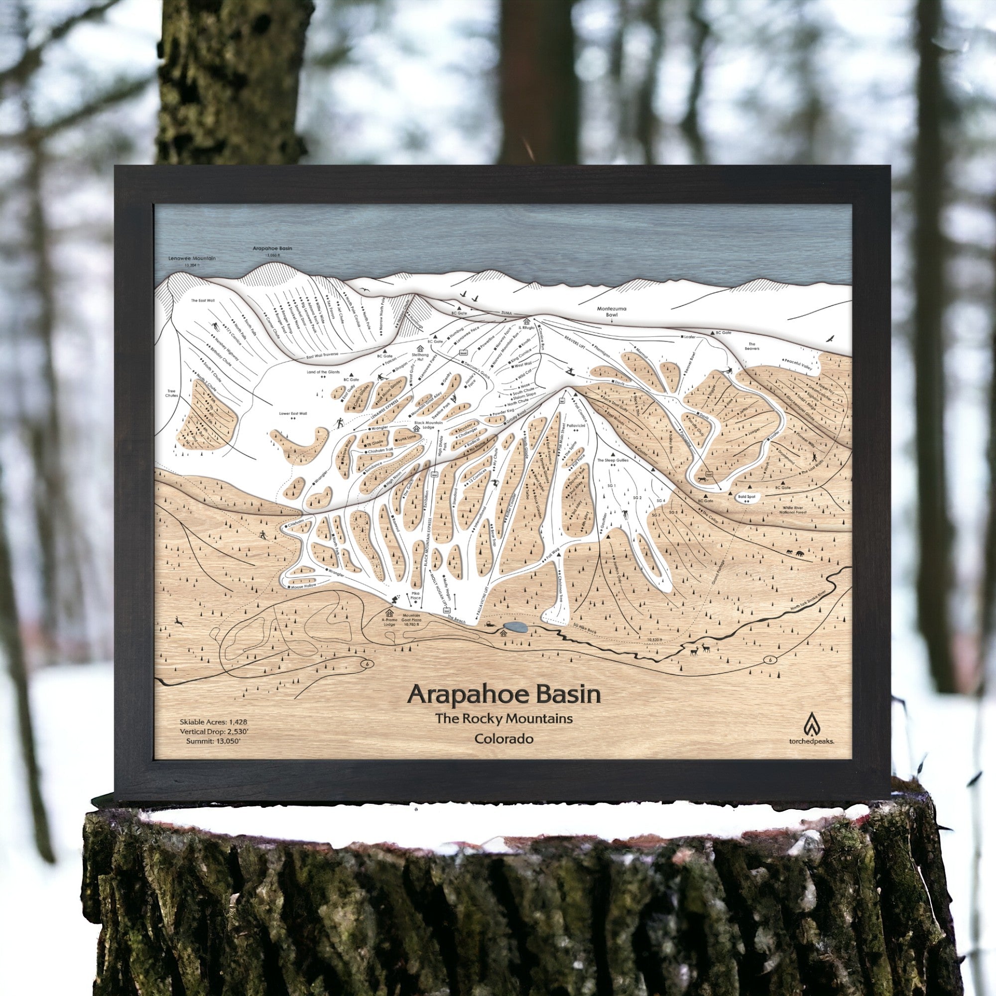 Wooden map of Arapahoe Basin Ski Resort in Colorado on a tree stump with a forest background