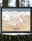 Wooden map of Arapahoe Basin Ski Resort in Colorado on a tree stump with a forest background