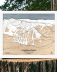 Wooden map of Arapahoe Basin Ski Resort in the Rocky Mountains, Colorado, displayed on a wooden stump with a natural background.