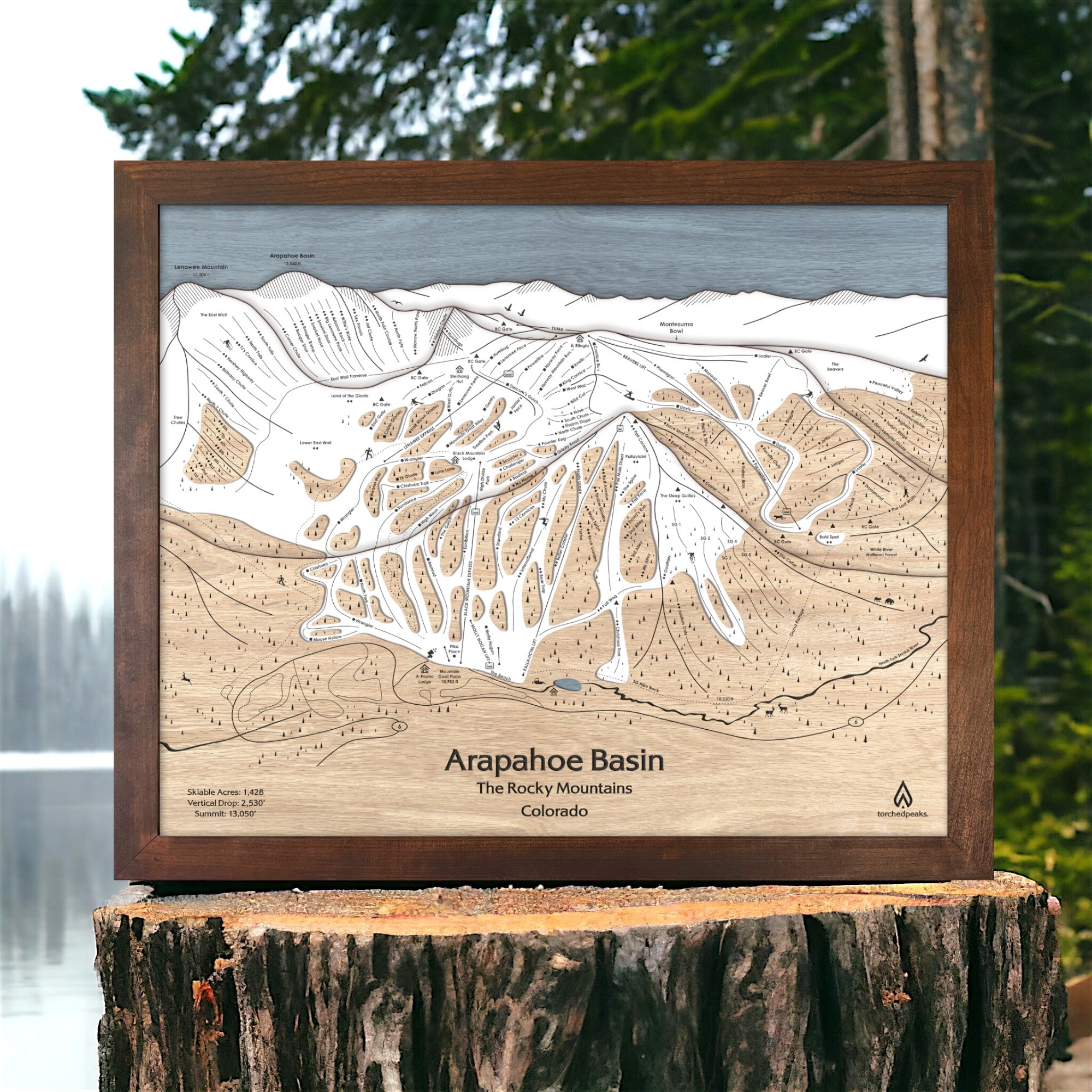 Wooden map of Arapahoe Basin Ski Resort in a wooden frame on a tree stump with a natural background.