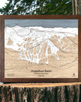 Wooden map of Arapahoe Basin Ski Resort in a wooden frame on a tree stump with a natural background.