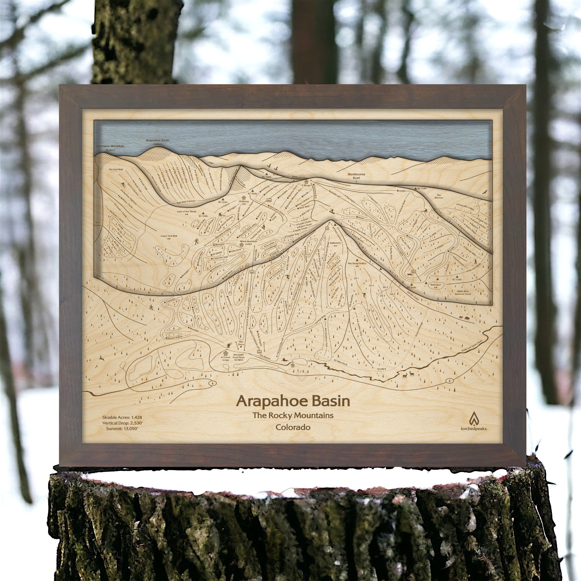 Graphite Grey Arapahoe Basin ski resort wall art resting on a snow-dusted stump among forest trees.