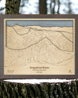 Graphite Grey Arapahoe Basin ski resort wall art resting on a snow-dusted stump among forest trees.